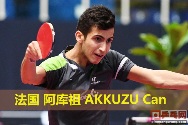 关于德国乒乓球队血洗奥地利乒乓球队,水谷隼送出助攻的信息 关于德国乒乓球队血洗奥地利乒乓球队,水谷隼送出助攻的信息