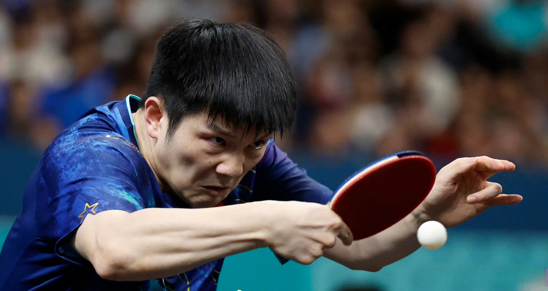 开云体育中国-波兰乒乓球队鏖战中国乒乓球队,樊振东爆发神勇的简单介绍