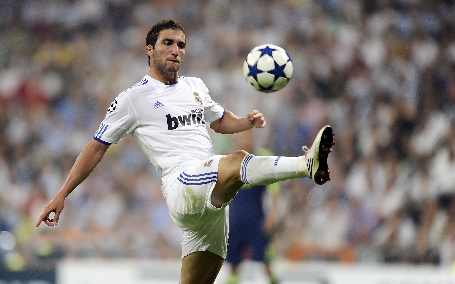 拉沃尔杯的碾压哲学，为何团队荣耀已超越蒙特卡洛大师赛的孤星光芒？