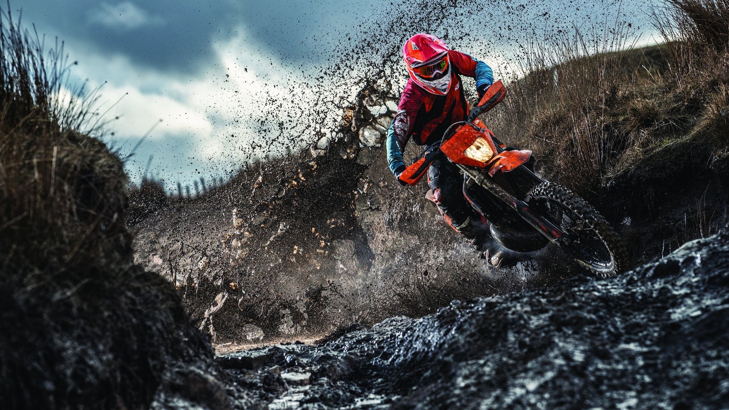 双线奇迹,法兰西绿茵逆转与东方羽球高光